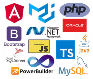 Software Development